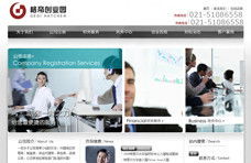 上海追浪网络 网站建设与网页设计成功案例全解析