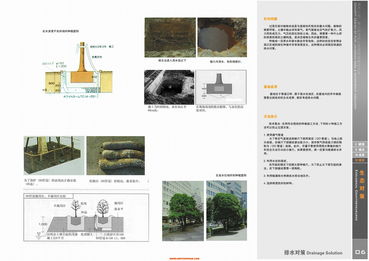探寻现代与自然的交融 上海江南广场景观设计解析